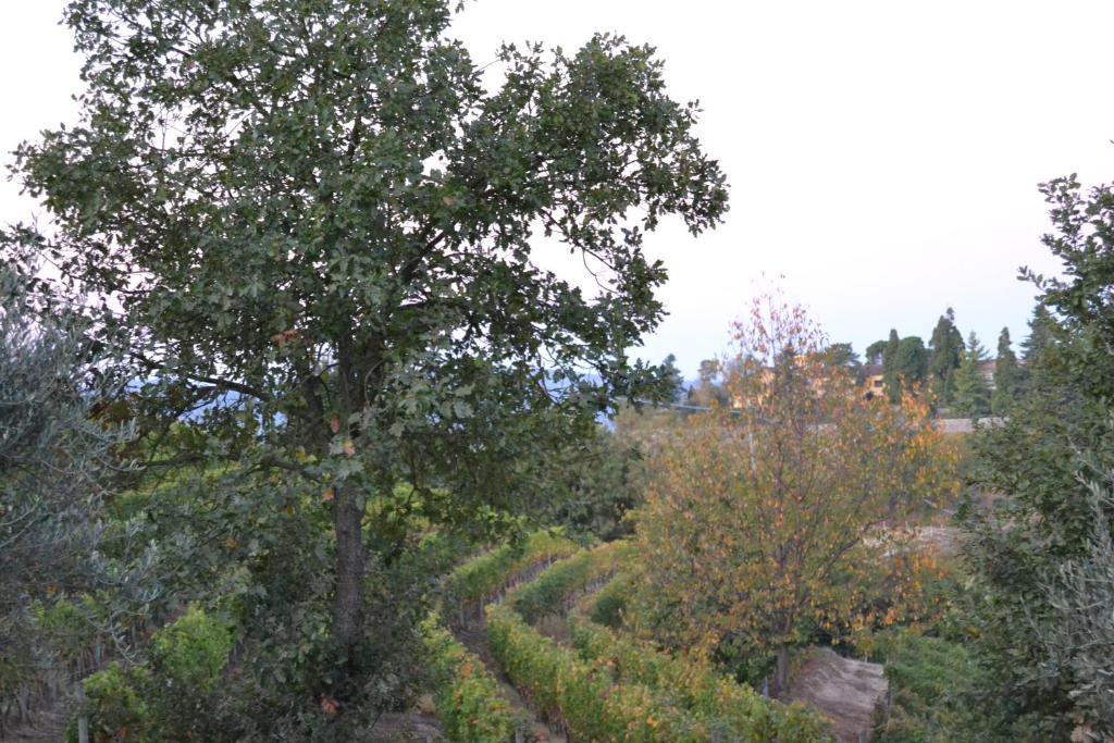 Agriturismo Costa Dei Platani Acqui Terme Exterior foto