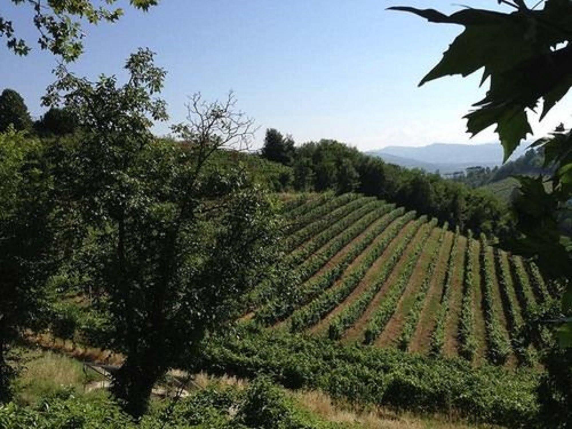 Agriturismo Costa Dei Platani Acqui Terme Exterior foto