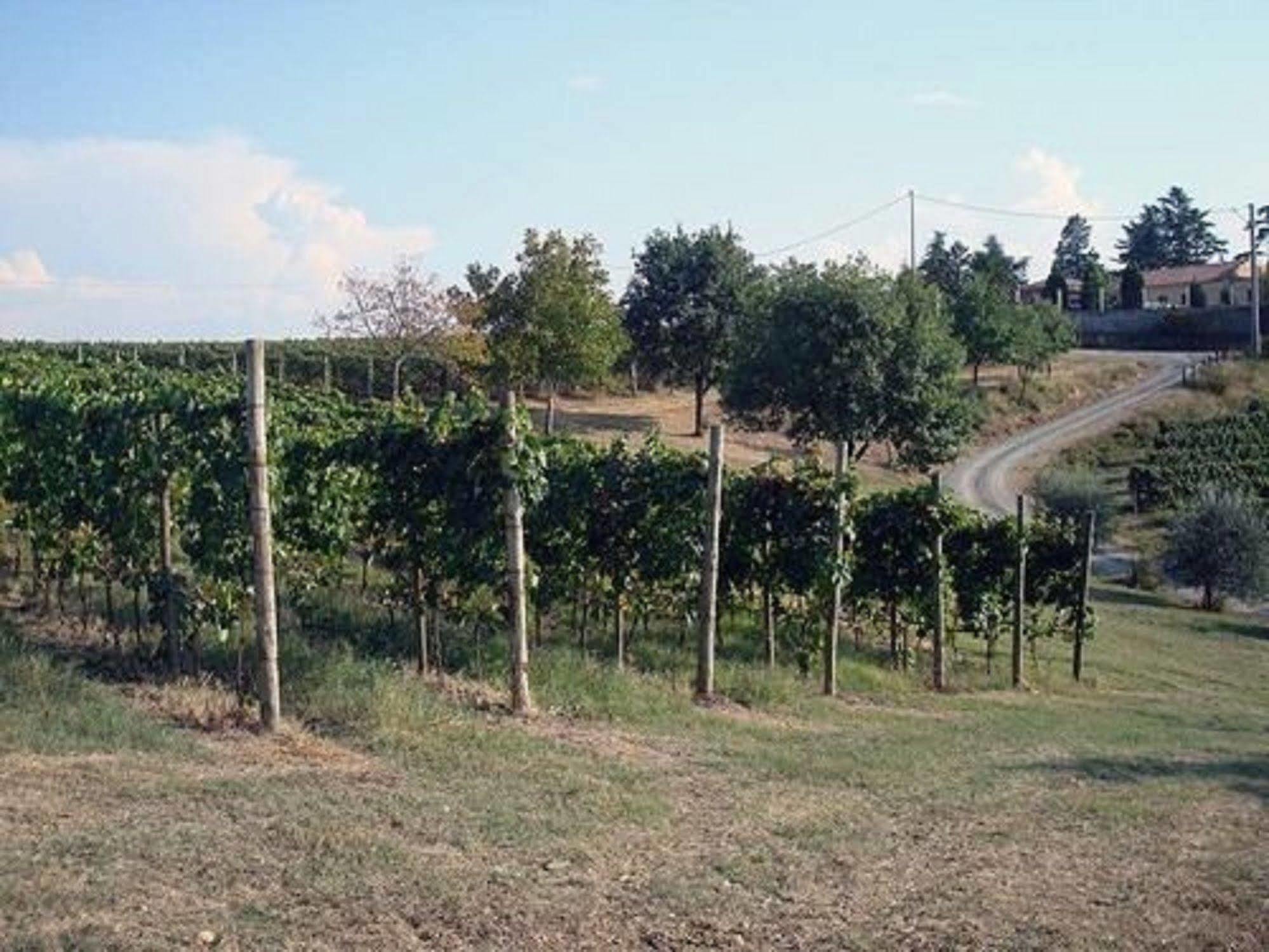 Agriturismo Costa Dei Platani Acqui Terme Exterior foto