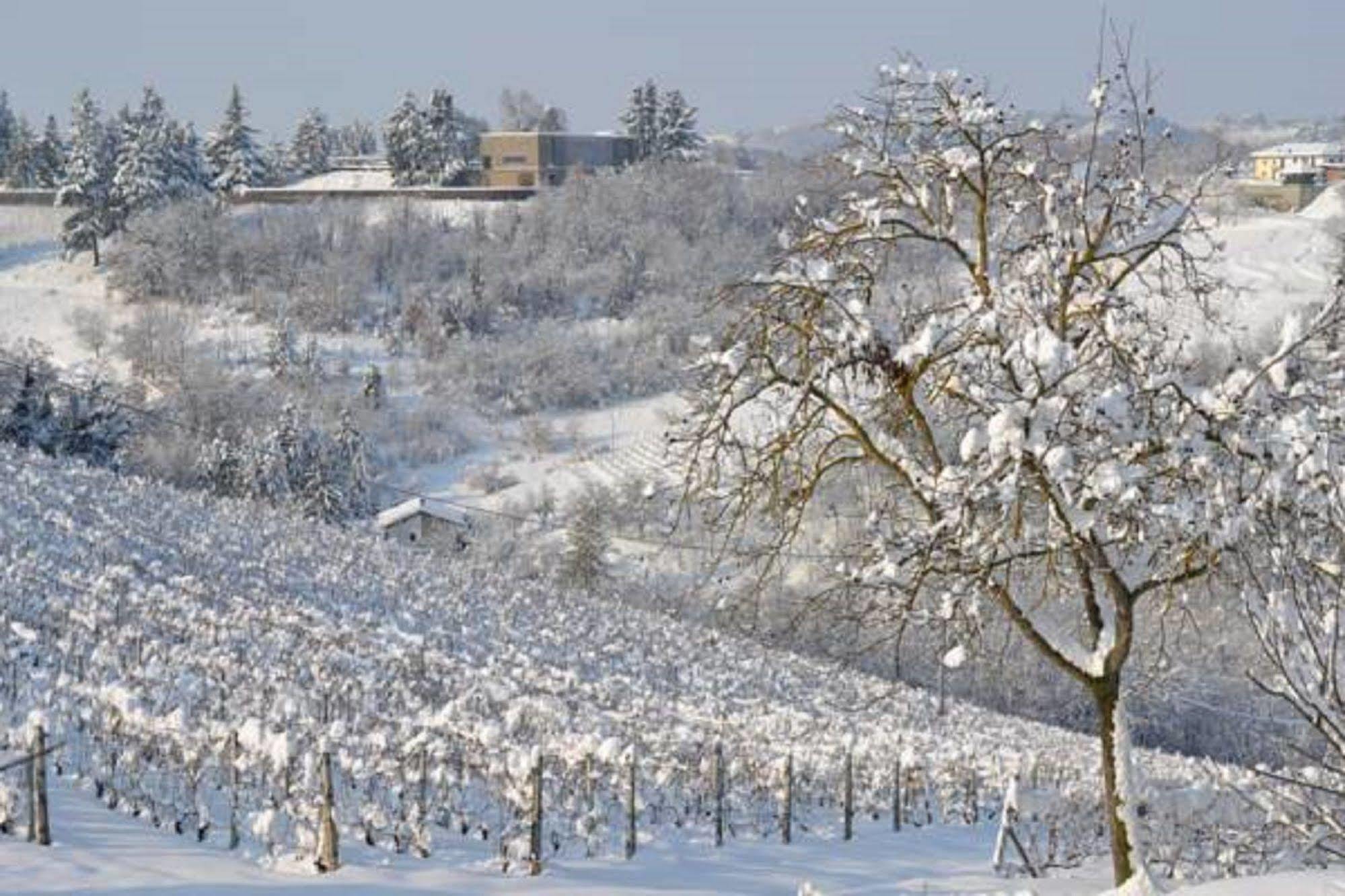 Agriturismo Costa Dei Platani Acqui Terme Exterior foto