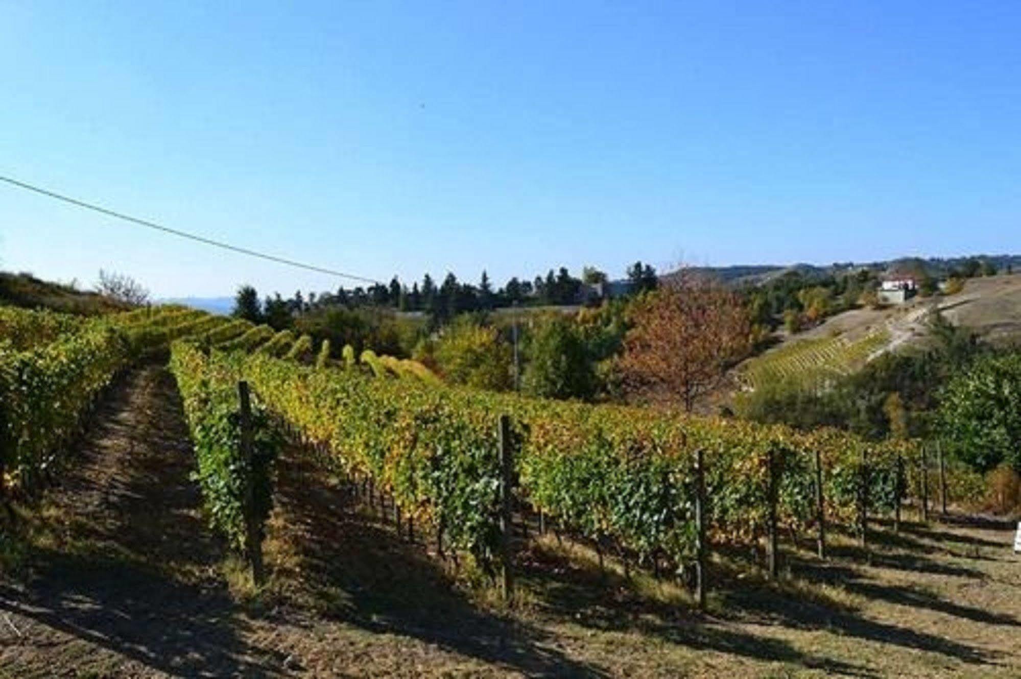 Agriturismo Costa Dei Platani Acqui Terme Exterior foto